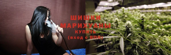 прущая мука Пересвет