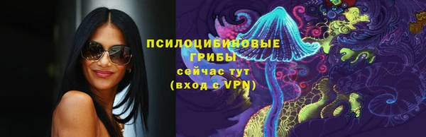 прущая мука Пересвет