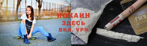 apvp Осинники