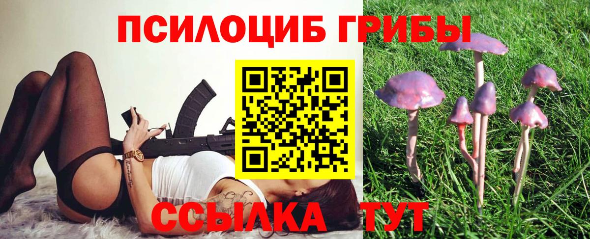 Галлюциногенные грибы MAGIC MUSHROOMS  Белогорск  Псилоцибиновые грибы Psilocybe 