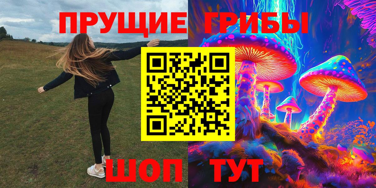 Галлюциногенные грибы Psilocybe Белогорск