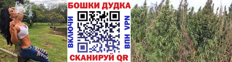 цены наркотик  OMG ONION  Каннабис план  shop формула  Белогорск 