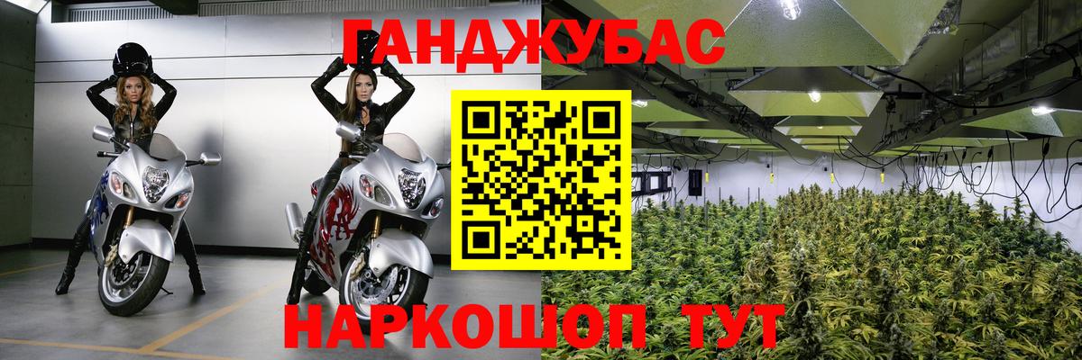 Белогорск  Бошки Шишки план  Вход с VPN  Канабис индика 